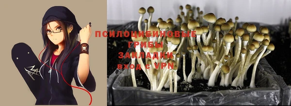 ПСИЛОЦИБИНОВЫЕ ГРИБЫ Нея