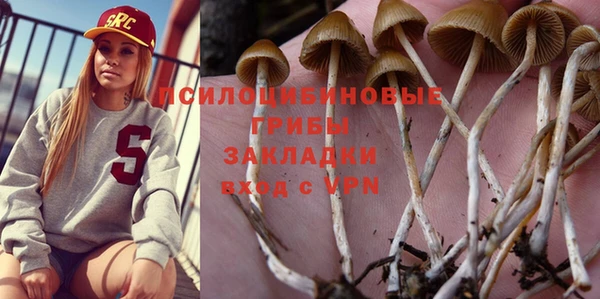 не бодяженный Надым