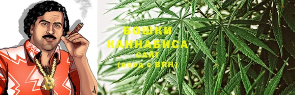 не бодяженный Надым