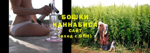 ПСИЛОЦИБИНОВЫЕ ГРИБЫ Нея
