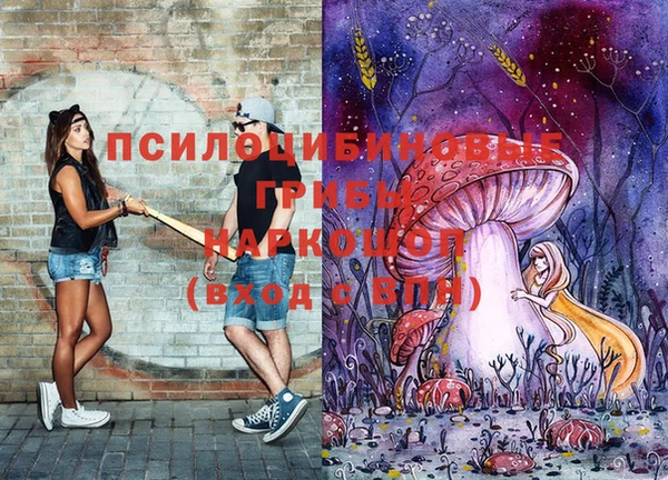 дживик Лихославль