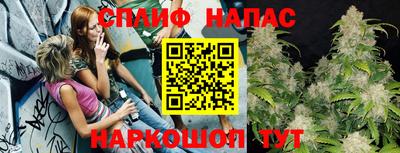 дмт Заводоуковск
