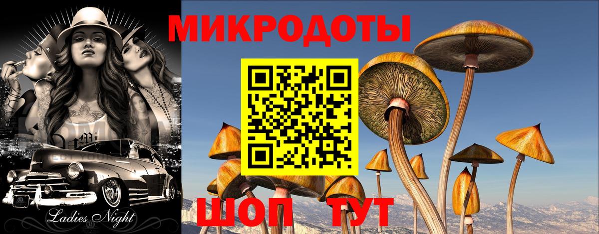 Галлюциногенные грибы Cubensis  Псилоцибиновые грибы Psilocybine cubensis  Кыштым 