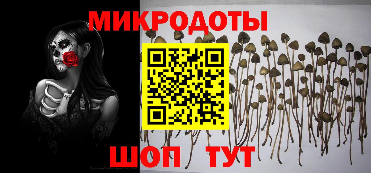 Кыштым  купить  сайты  Вход с VPN  Псилоцибиновые грибы прущие грибы  Псилоцибиновые грибы Magic Shrooms 