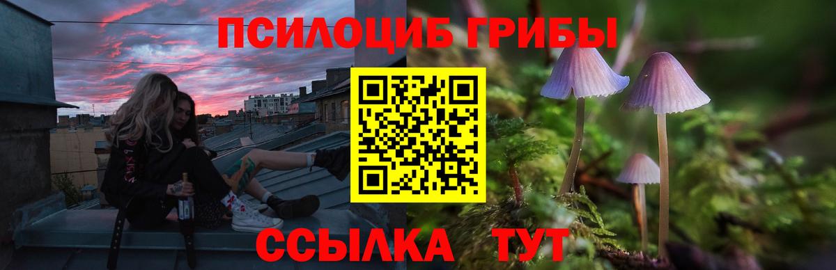 Псилоцибиновые грибы MAGIC MUSHROOMS Кыштым